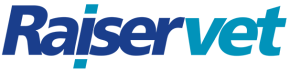 Logo-raiservet